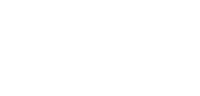 Shop Jerusalem Imports